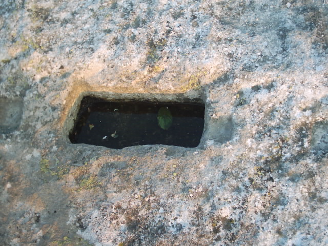 IMAGE0020
