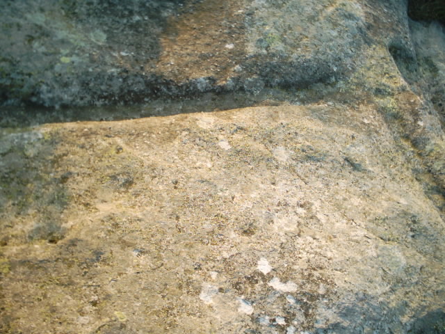IMAGE0080
